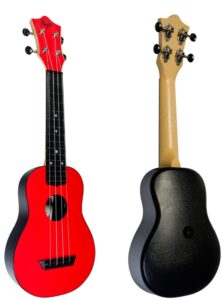 Flight TUS35RD, Travel soprano