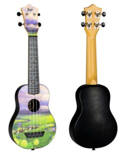 Flight TUS40 View,  Travel soprano